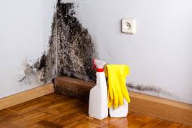 Best Mold Remediation for Healthcare Facilities  in Oneonta, NY